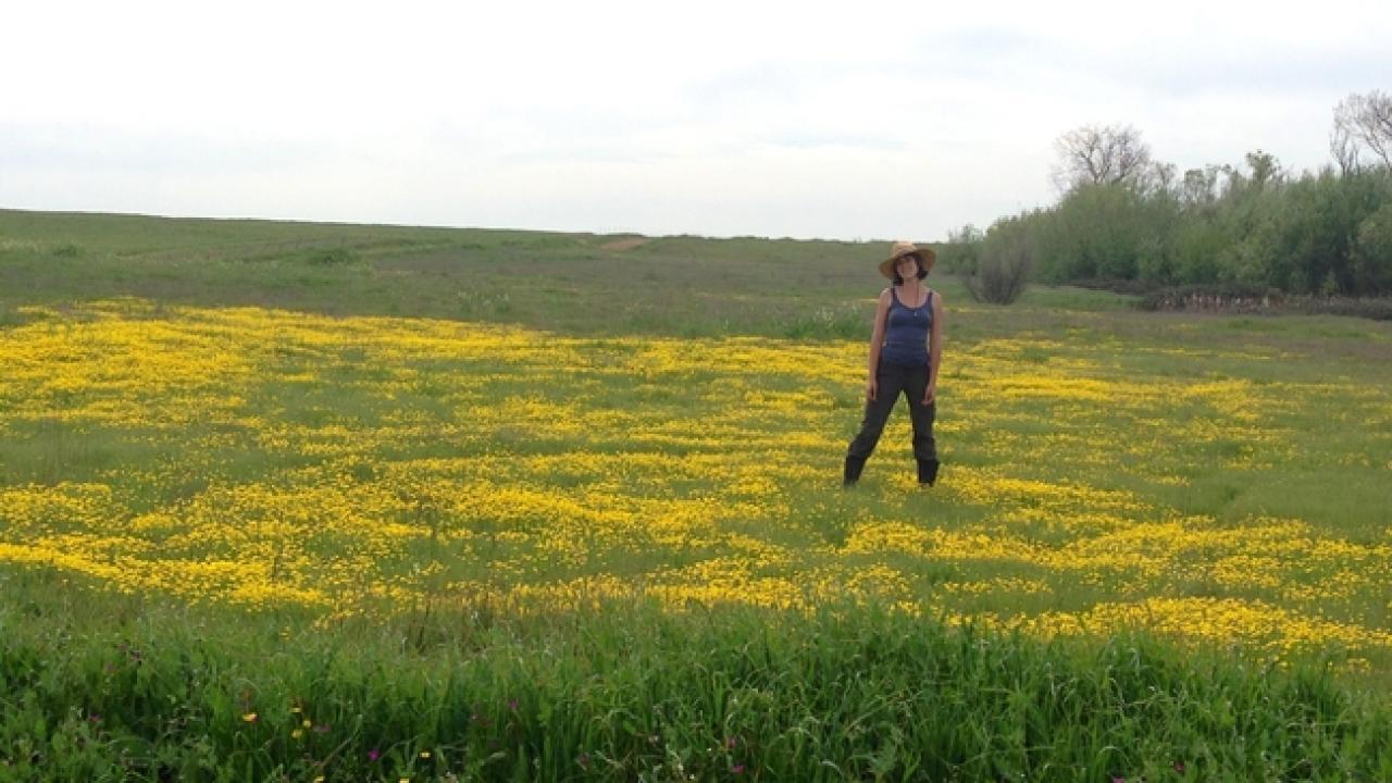 Researcher Julia Michaels standing in a field of frying pans, an uplands plant endemic to California. Photo courtesy of Julia Michaels