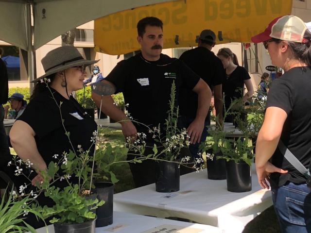 People talking under a tent. Plants in foreground