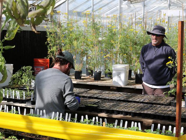 Two man in a greenhouse filled with plants