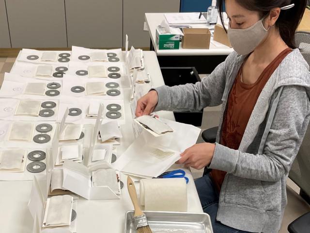 student working at a table in the herbarium