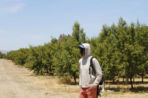 A hooded, masked man stands before an orchard.