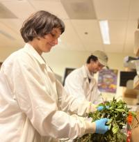 Gaudin Lab 1