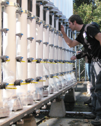 Horticulture student Michael Harris uses slow sand filters to see how effective they are for removing plant pathogens from run-off water to be reused for irrigation. Lorence Oki supervised the research.
