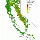 California map