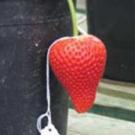Close-up photo of strawberry