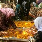 Farmers spread apricots on a tray for drying