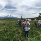 People in a mountain range next to a stream.