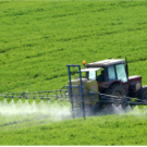 Tractor in field