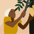 Image of woman harvesting from tree