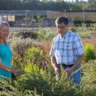 Karrie Reid and Loren Oki, UC Davis