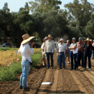 Plant Breeding Center