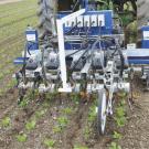 Steve Fennimore, Cooperative Extension specialist with the University of California, Davis, says automatic weeders like the Robovator shown here will help ease the shortage of skilled employees needed for hand weeding. (photo Steve Fennimore/UC Davis)