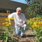 John Labavitch planting a garden in front of Plant Reproductive Biology at UC Davis.