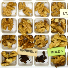 photo of walnuts