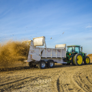 Wood chips from recycled almond trees are spread across an orchard in California's Stanislaus County. (photo Brent Holtz, UCANR)