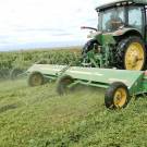 Cover crop shredding at Teixeira & Sons in Firebaugh on April 4, 2020. (photo UCANR)