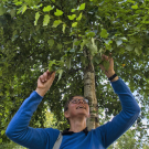 Astrid Wingler, University College Cork