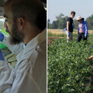 Postharvest research, UC Davis