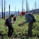 Researchers examine a burned site.