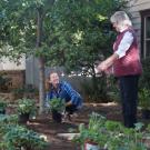 Stacey Parker and Ellen Zagory plant a low-water use garden.