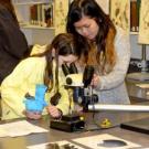 Students looking in microscope