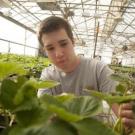 Student with strawberry plant