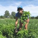 Student working in field
