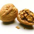 Walnuts in shells