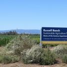 The Russell Ranch Sustainable Agriculture Facility at UC Davis. (photo: Ann Filmer/UC Davis)