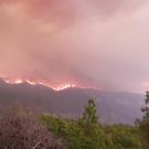 Orange-gray smoke billows above green trees, as flames rise from a mountain ridge.
