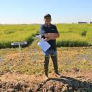 Man standing in a sunny area. Behind him is short green grass, which is standing in shallow water.