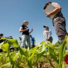 Young men and women focus on a woman in a hat as they stand in a field of leafy greens