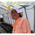 Woman in a greenhouse with very small tomato plants