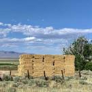 An expansive semi-arid landscape with bales of alfalfa in the foreground and mountains and clouds at the horizon