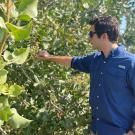 Man in blue shirt reaching out to green leaves.