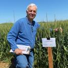 Man kneeling in a green wheat field, holding papers beside labeled crop signs under blue sky