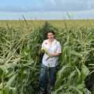 Woman standing in a field of tall, green corn. Blue sky above.