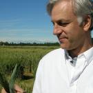 Jorge with wheat