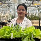 Young woman in a greenhouse, wearing a white lab coat and holding a large tray of bright-green leafy plants.