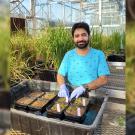 A man in a t-shirt smiles as he plants rice in gloves. Tall grass-like plants surrounds him and daylight can be seen through the widows in the back. 