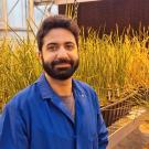 Man standing in front of green-fronded plants inside a greenhouse