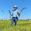 Bruce Linquist standing in an open field under a blue sky. He is wearing a blue button up, blue jeans, and a white hat. He is holding stalks of wheat. 