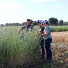 Three people standing by a small field of tall, green grass.