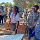 People gather around a chicken-wire box in a garden