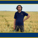 Man in navy polo standing with hand on hip in golden wheat field, framed by blue border. UC Davis Department of Plant Sciences