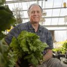 Man inside a greenhouse with lots of plants in foreground