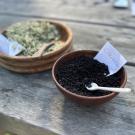 Two bowls of native foods, one labelled as elderberries