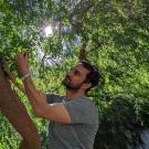 Man and leafy tree