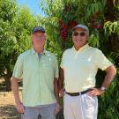 Two men standing, with two rows of leafy orchard trees behind them