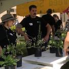 People talking under a tent. Plants in foreground